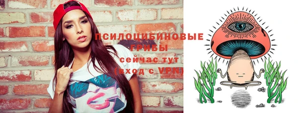 меф Пестово