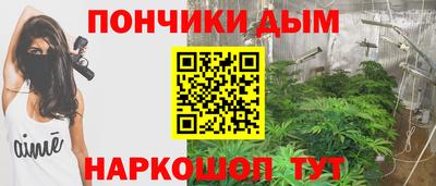 гашик Донской