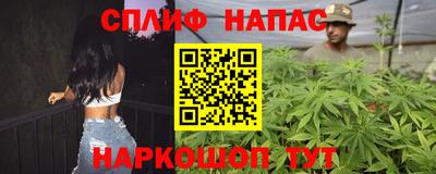 гашик Донской