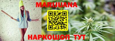 гашик Донской
