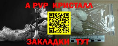 гашик Донской