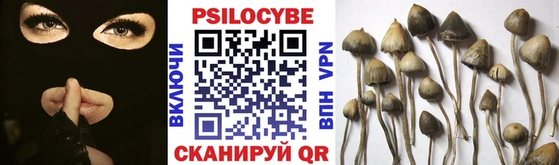 mega tor  Ярцево  мориарти формула  Псилоцибиновые грибы мухоморы 