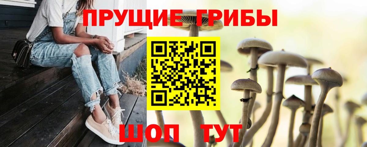 Ярцево  Галлюциногенные грибы Psilocybine cubensis  Псилоцибиновые грибы прущие грибы  Вход с VPN 